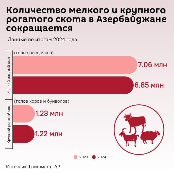 Инфографика: Количество рогатого скота сокращается  - Sputnik Азербайджан
