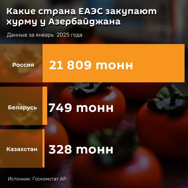 Инфографика: Какие страны ЕАЭС закупают хурму у Азербайджана - Sputnik Азербайджан