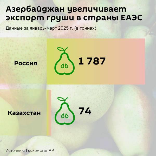 Инфографика: Азербайджан наращивает экспорт груши в страны ЕАЭС - Sputnik Азербайджан