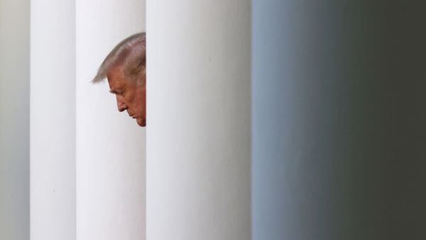 Президент США Дональд Трамп, фото из архива - Sputnik Азербайджан