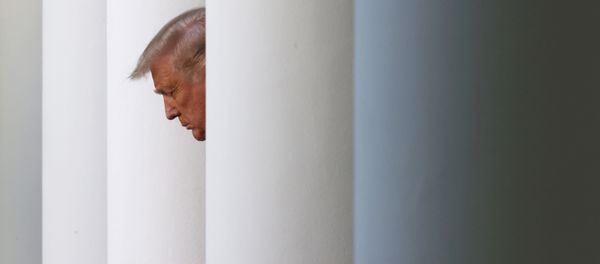 Президент США Дональд Трамп, фото из архива - Sputnik Азербайджан