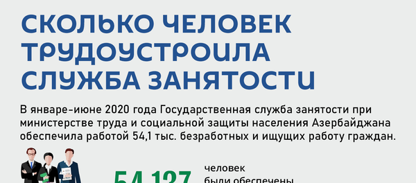 Инфографика: Сколько человек трудоустроила служба занятости - Sputnik Азербайджан