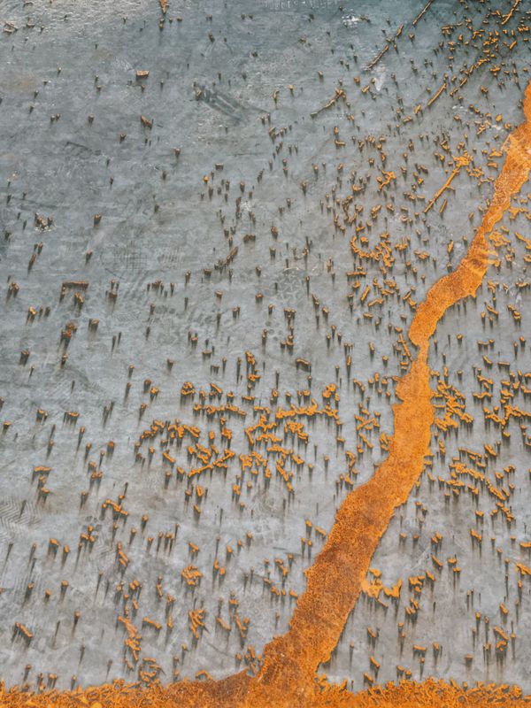 Снимок китайского фотографа Tu Odnu, занявший 1-е место в номинации ABSTRACT конкурса IPPAWARDS 2020 - Sputnik Азербайджан