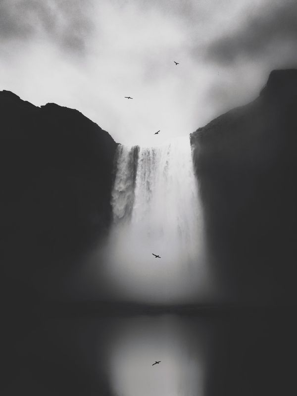 Снимок Untitled китайского фотографа Lisi Li, получивший главный приз в номинации Nature конкурса IPPAWARDS 2020 - Sputnik Азербайджан