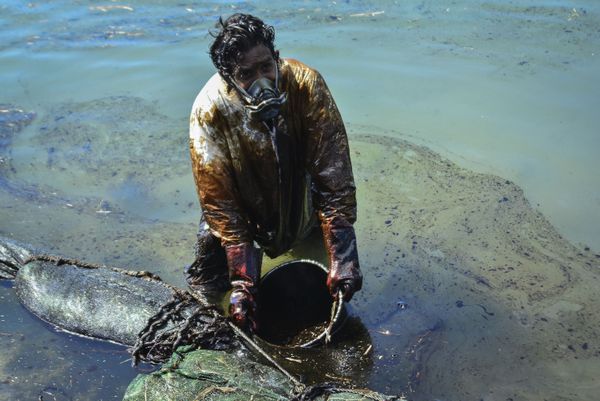 Очистка воды от разлившейся нефти у Маврикия Очистка воды от разлившейся нефти у Маврикия - Sputnik Азербайджан