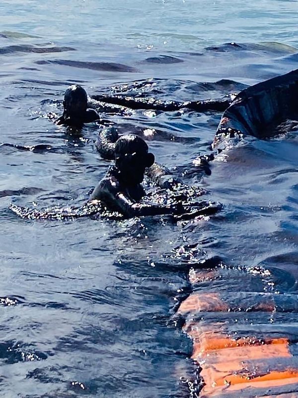 Очистка воды от разлившейся нефти у Маврикия Очистка воды от разлившейся нефти у Маврикия - Sputnik Азербайджан