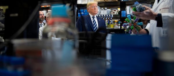 Президент США Дональд Трамп  - Sputnik Азербайджан