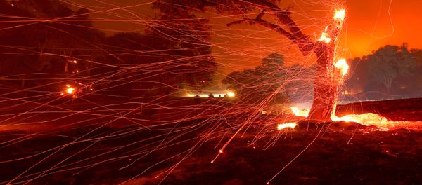 Kaliforniyada vəziyyət Kaliforniyada vəziyyət - Sputnik Азербайджан