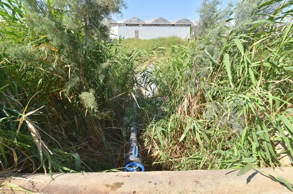 Самовольные врезки в линии и водопои для животных - итоги ночных проверок Azərsu - Sputnik Азербайджан