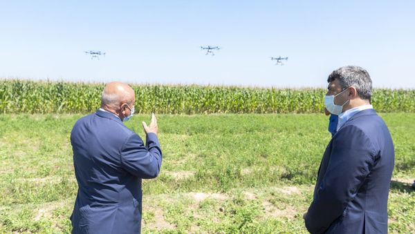 Qarğıdalı sahələri dronlar vasitəsilə dərmanlanıb - Sputnik Азербайджан