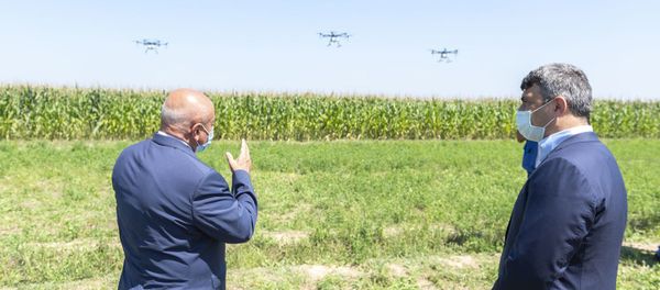 Qarğıdalı sahələri dronlar vasitəsilə dərmanlanıb - Sputnik Азербайджан