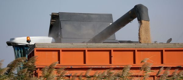 Уборка и переработка урожая риса, фото из архива - Sputnik Азербайджан