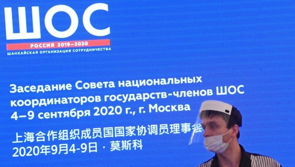 У экрана с символикой ШОС - Sputnik Азербайджан