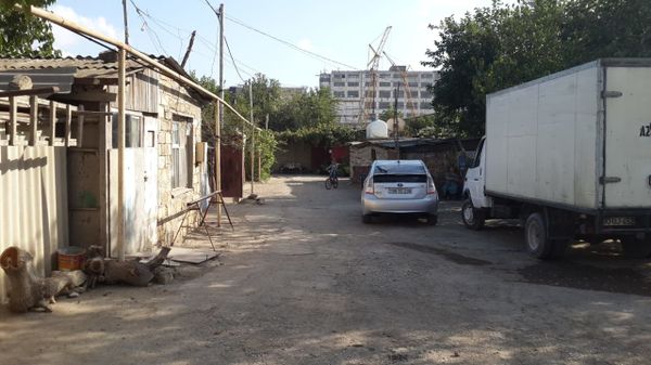 Змеи держат в страхе жителей бакинского поселка: выползают даже из канализации - Sputnik Азербайджан