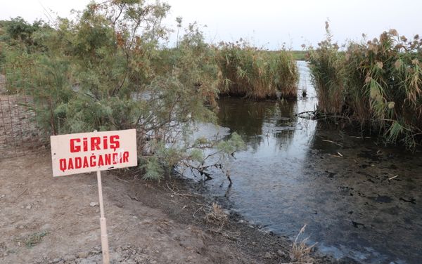 Археологические раскопки на территории древнего поселения Гызылтепе в Имишлинском районе - Sputnik Азербайджан