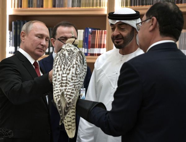 Президент РФ Владимир Путин дарит белого кречета наследному принцу Абу-Даби, заместителю верховного главнокомандующего вооружёнными силами Объединённых Арабских Эмиратов Мухаммеду бен Заид Аль Нахайяну. - Sputnik Азербайджан