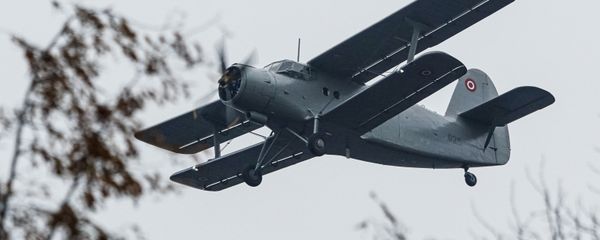 Самолет Ан-2  - Sputnik Азербайджан