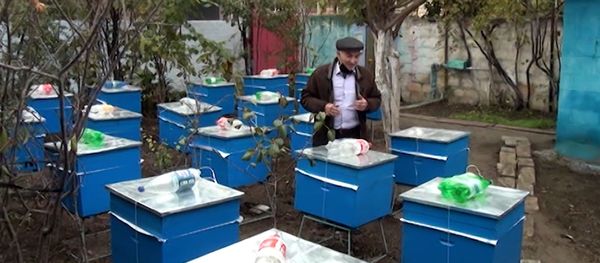 Как пчеловод из Лачина собирается перевезти пасеку в родное село - видео - Sputnik Азербайджан