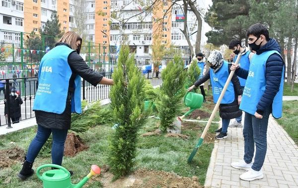 Объединение IDEA облагородило дворы в жилом массиве Ени Ясамал Ясамальского района - Sputnik Азербайджан