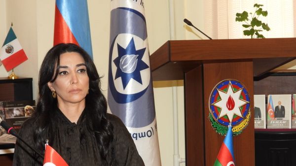 Azərbaycan Respublikasının İnsan Hüquqları üzrə Müvəkkili, Ombudsman Səbinə Əliyeva - Sputnik Азербайджан
