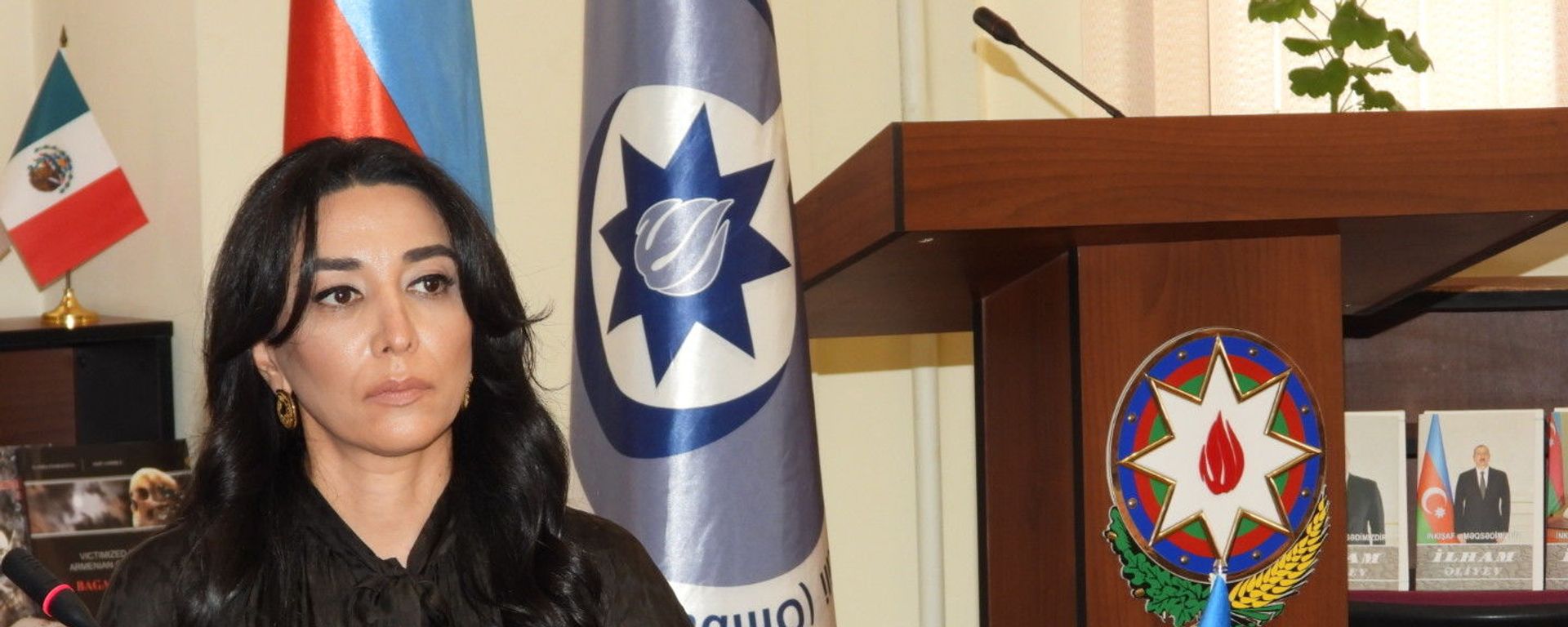 Azərbaycan Respublikasının İnsan Hüquqları üzrə Müvəkkili, Ombudsman Səbinə Əliyeva - Sputnik Азербайджан, 1920, 09.05.2023