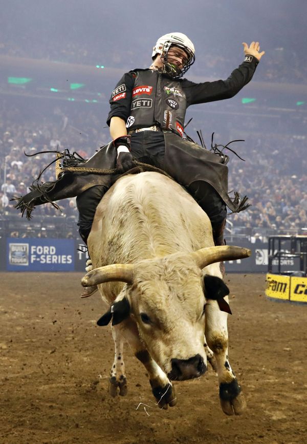 Участник соревнований Professional Bull Riders Monster Energy Buck Off в Нью-Йорке - Sputnik Азербайджан