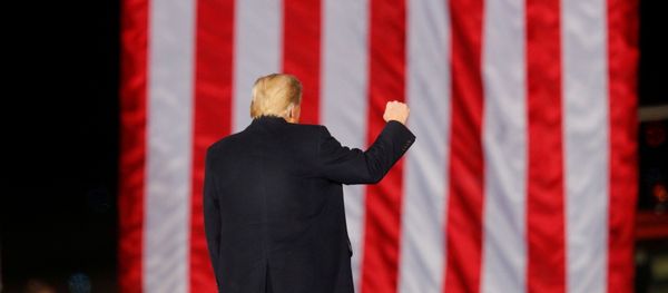 Дональд Трамп, фото из архива - Sputnik Азербайджан