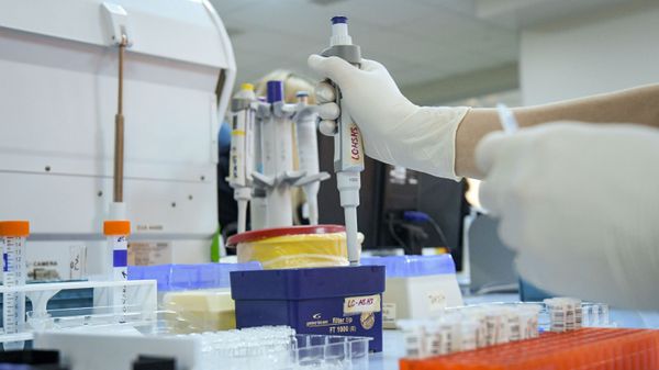 Bakıda klinikaların birində koronavirus testi - Sputnik Азербайджан