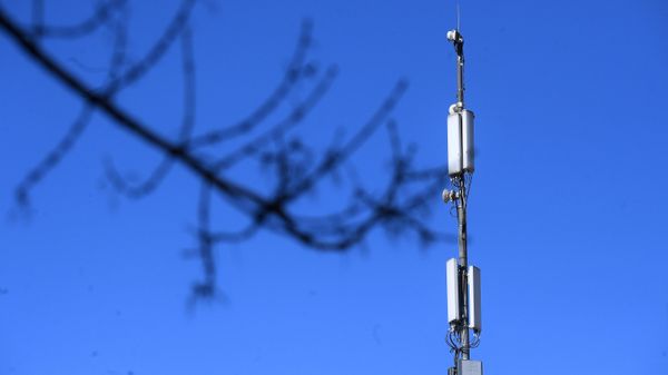 Интернет-трафик вырос в связи с удаленной работой - Sputnik Азербайджан