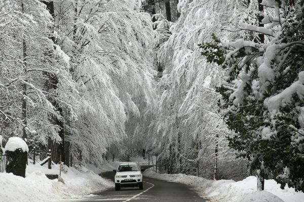 A car drives by Vizzavona forest covered with snow on January 11, 2021 on the French Mediterranean island of Corsica, following heavy snow falls over southern Europe.  - Sputnik Азербайджан