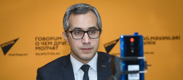 Во время онлайн-конференции - Sputnik Азербайджан