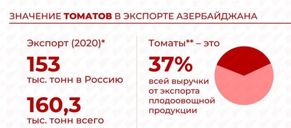 Инфографика: Значение томатов в экспорте Азербайджана Инфографика: Значение томатов в экспорте Азербайджана - Sputnik Азербайджан