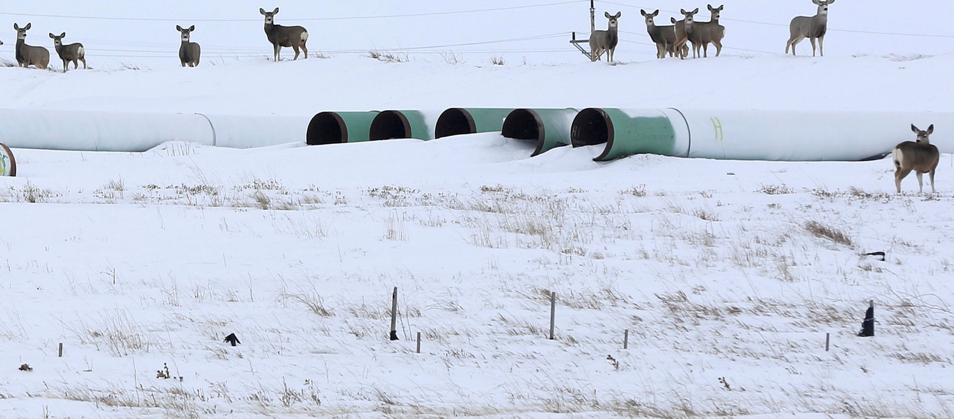 Трубы для нефтепровода Keystone XL в Гаскойне, Северная Дакота - Sputnik Азербайджан, 1920, 27.01.2021