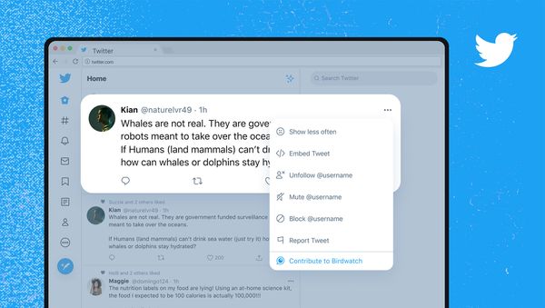 Twitter за честную информацию: какой станет популярная соцсеть? - Sputnik Азербайджан