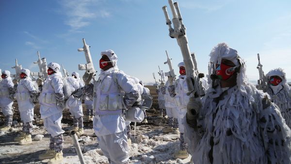 Азербайджанские и турецкие военнослужащие на «Зимних учениях 2021» в Карсе - Sputnik Азербайджан