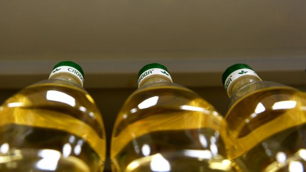 Бутылки с растительным маслом на прилавке магазина, фото из архива - Sputnik Азербайджан