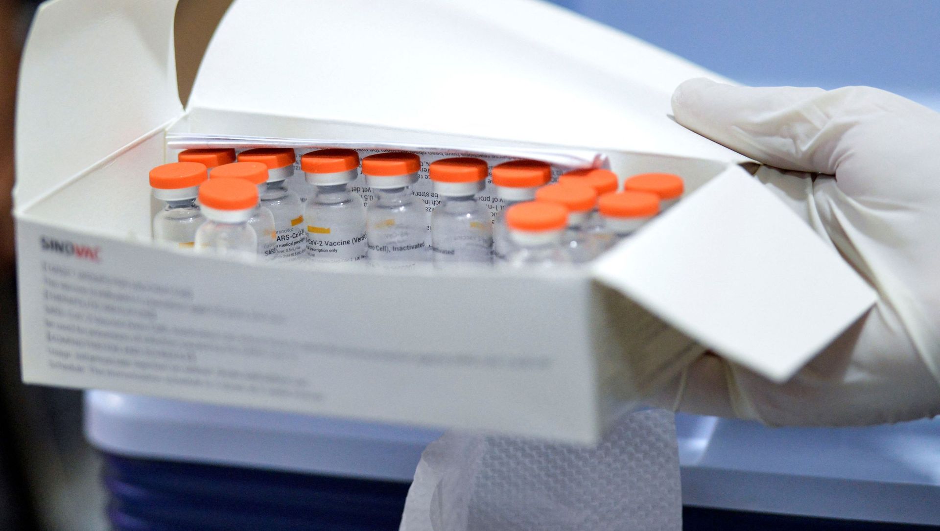 Вакцина CoronaVac компании Sinovac Biotech, фото из архива Вакцина CoronaVac компании Sinovac Biotech, фото из архива - Sputnik Азербайджан, 1920, 05.03.2021