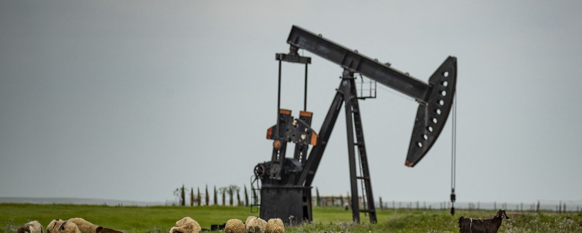 Нефтяная качалка, фото из архива - Sputnik Азербайджан, 1920, 08.04.2021