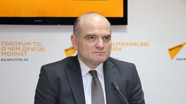 Профессор UNEC, замдиректора Русской школы экономики Эльшад Мамедов   - Sputnik Азербайджан
