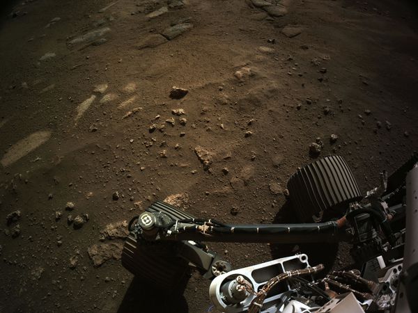 Вид с навигационной камеры на марсоход Perseverance Mars Rover - Sputnik Азербайджан