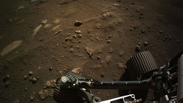 Вид с навигационной камеры на марсоход Perseverance Mars Rover - Sputnik Азербайджан