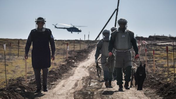 Сотрудники ANAMA  - Sputnik Азербайджан