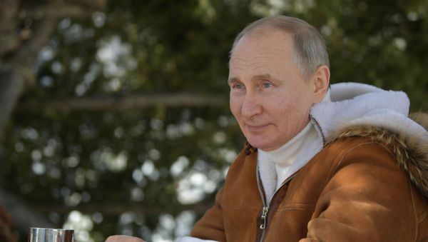 Президент России Владимир Путин - Sputnik Азербайджан