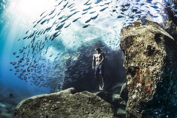Снимок Andre Fajardo freediving early one summer morning фотографа из США Christa Funk, занявший первое место в категории People and nature  конкурса World Nature Photography Awards 2020 - Sputnik Азербайджан