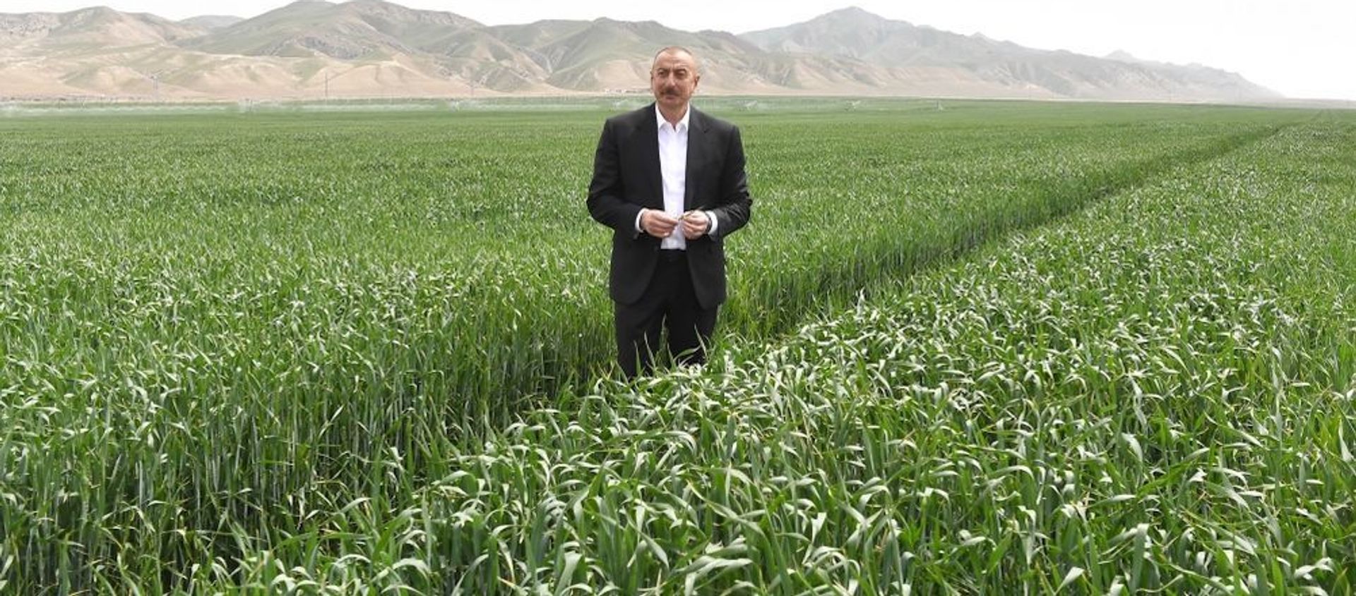 Prezident İlham Əliyev Hacıqabulda Aqro Dairy MMC-də - Sputnik Азербайджан, 1920, 20.04.2021