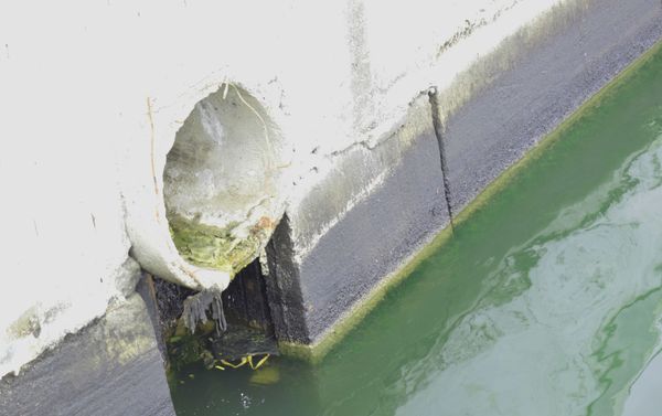 Сточные воды сливаются в Каспийское море на территории Биби-Эйбата - Sputnik Азербайджан