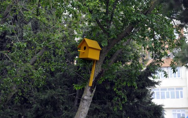 Обустроенный двор в Сураханском районе столицы, в поселке Ени Гюнешли - Sputnik Азербайджан