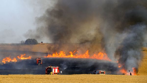 Пожар на пшеничном поле, фото из архива - Sputnik Азербайджан
