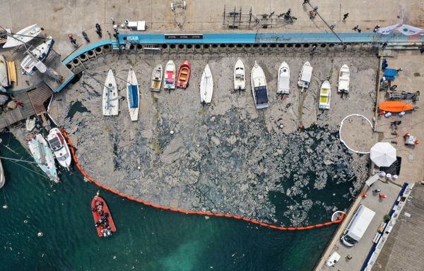Вид с воздуха на место очистки моря от слизи в Турции  - Sputnik Азербайджан