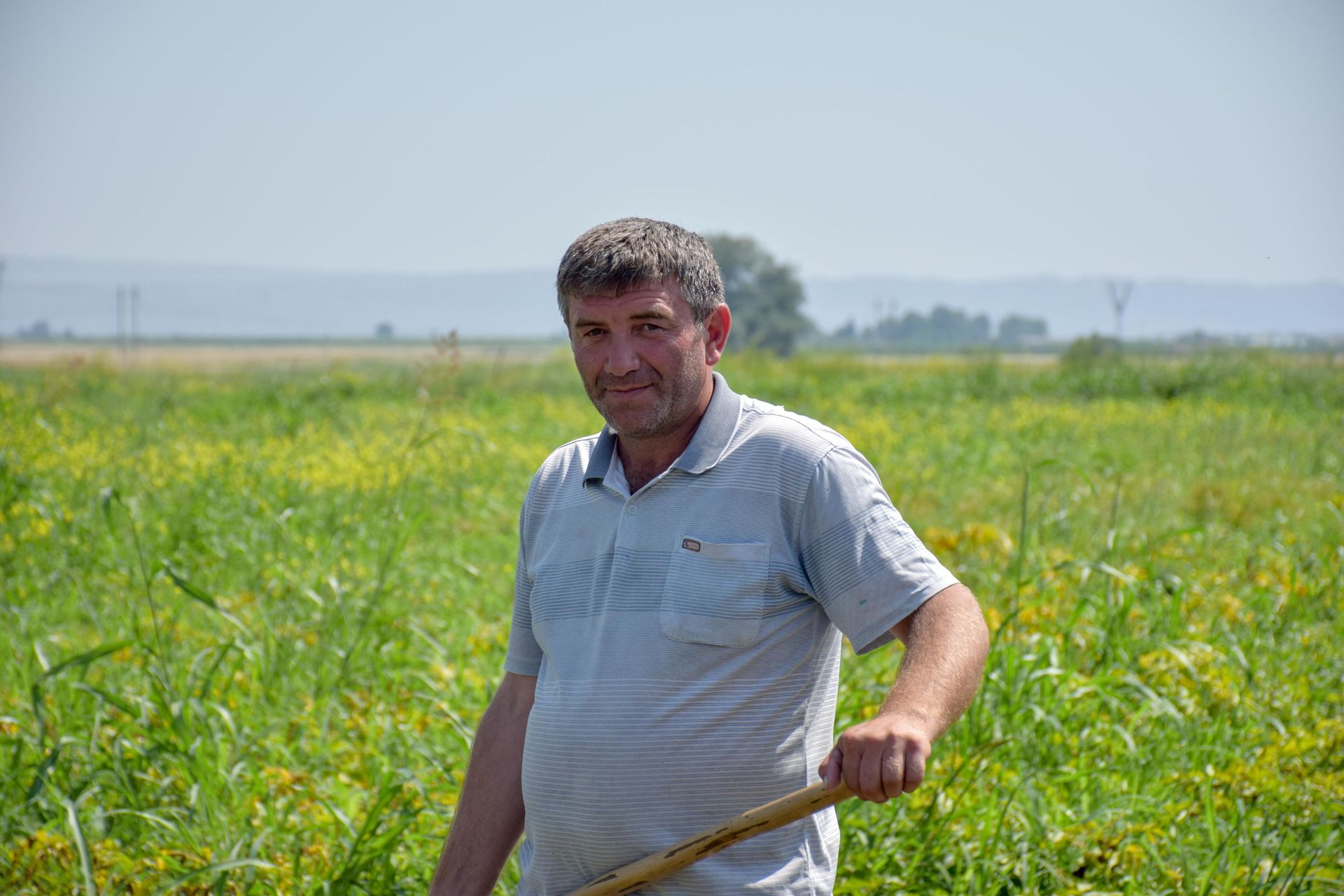Урожай большой, покупателей нет: Товузский картофель оказался никому не нужен? - Sputnik Азербайджан, 1920, 28.06.2021